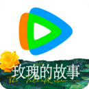 阴阳师sp强度排行